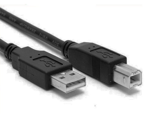 Straight USB A M to B Male Printer Cable